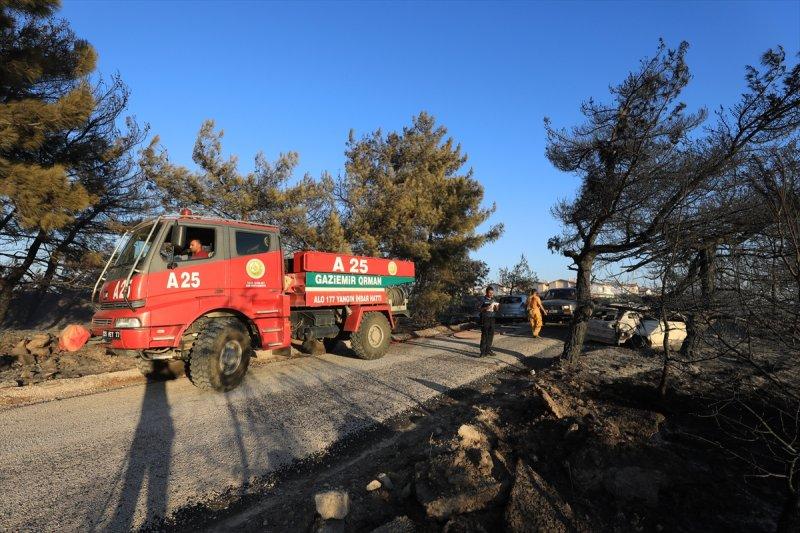 İzmir'de otlukta çıkan yangın, 50 aracı yaktı