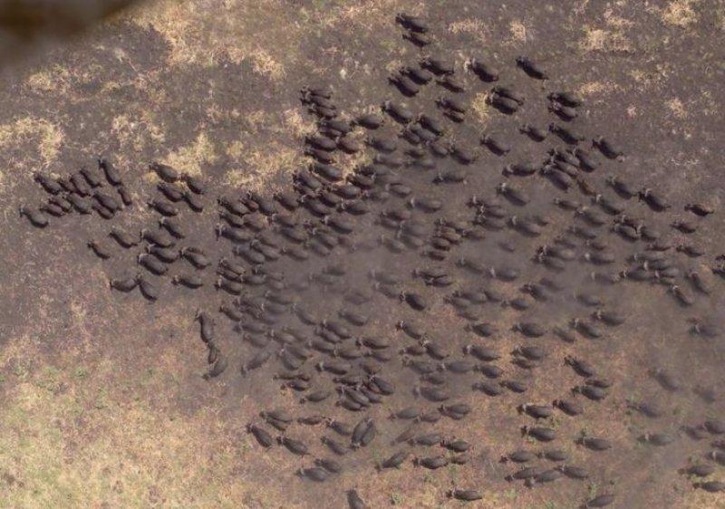 Dünya'ya farklı bir açıdan bakmanızı sağlayacak Google Earth fotoğrafları
