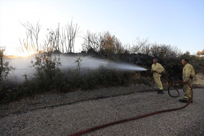 İzmir'de otlukta çıkan yangın, 50 aracı yaktı