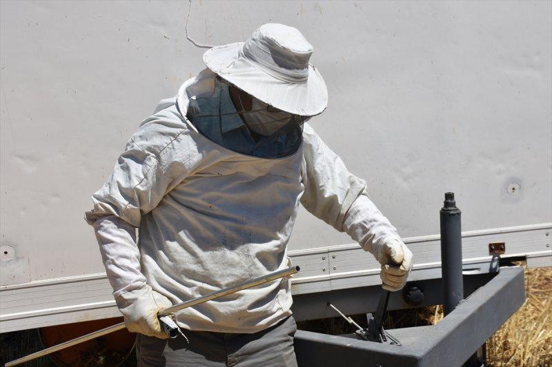 Adıyamanlı kaporta ustası, hazırladığı konteynerle 'gezici arıcı' oldu