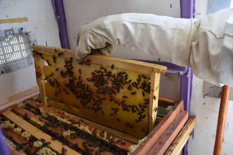 Adıyamanlı kaporta ustası, hazırladığı konteynerle 'gezici arıcı' oldu