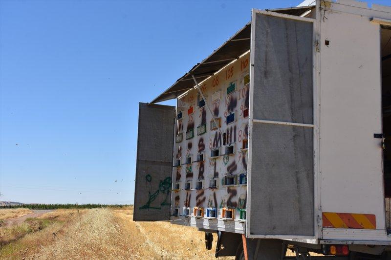 Adıyamanlı kaporta ustası, hazırladığı konteynerle 'gezici arıcı' oldu