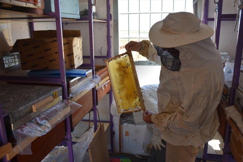 Adıyamanlı kaporta ustası, hazırladığı konteynerle 'gezici arıcı' oldu