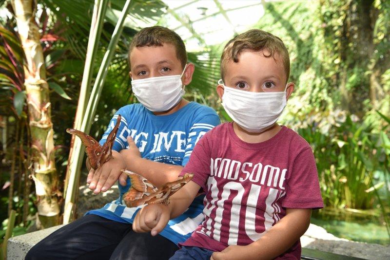 Konya'da dev kelebeğe büyük ilgi