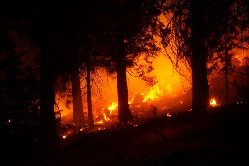 Kaliforniya'da orman yangını