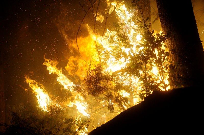 Kaliforniya'da orman yangını