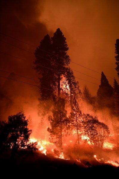 Kaliforniya'da orman yangını