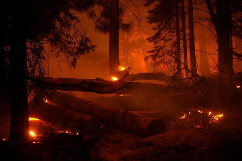 Kaliforniya'da orman yangını