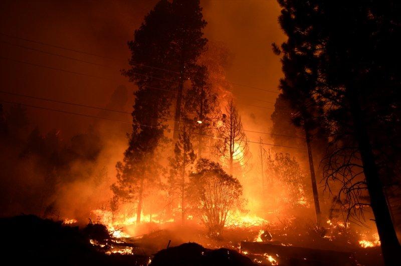 Kaliforniya'da orman yangını