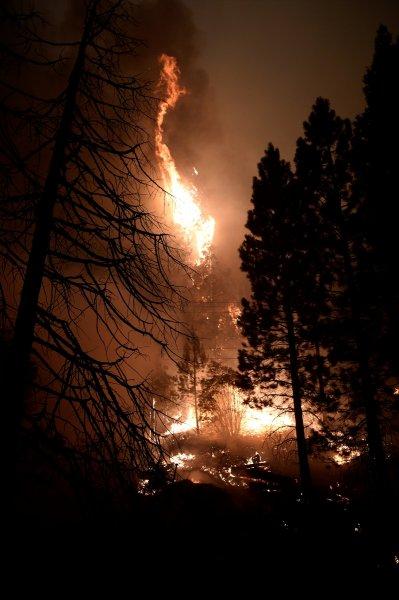 Kaliforniya'da orman yangını