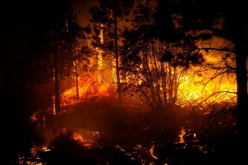 Kaliforniya'da orman yangını