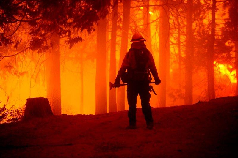 Kaliforniya'da orman yangını