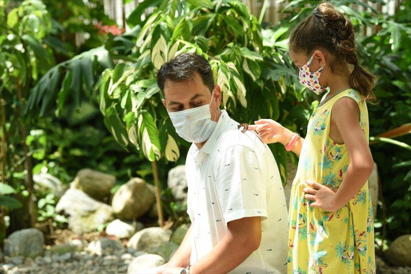 Konya'da dev kelebeğe büyük ilgi