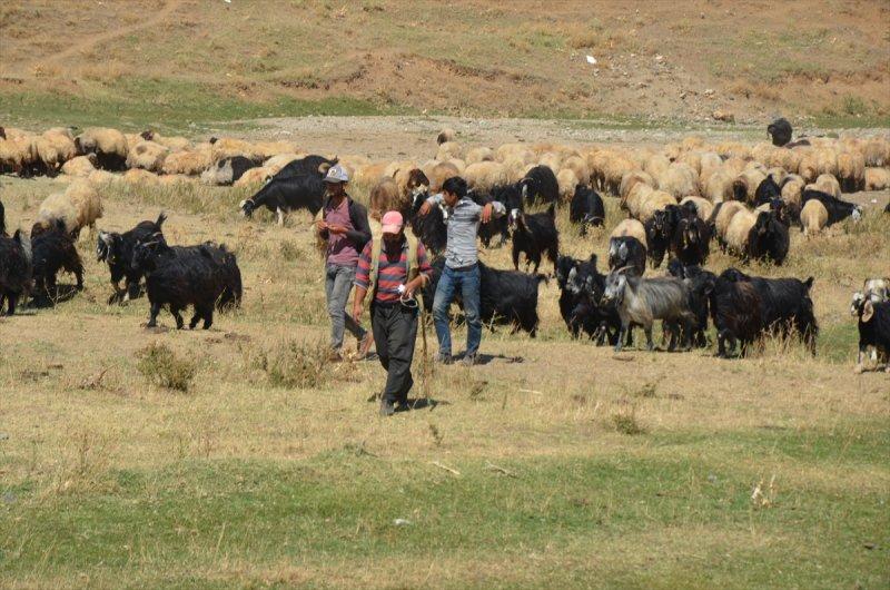Muş'ta göçerlerin dönüş yolculuğu başladı