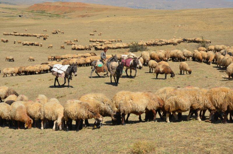 Muş'ta göçerlerin dönüş yolculuğu başladı