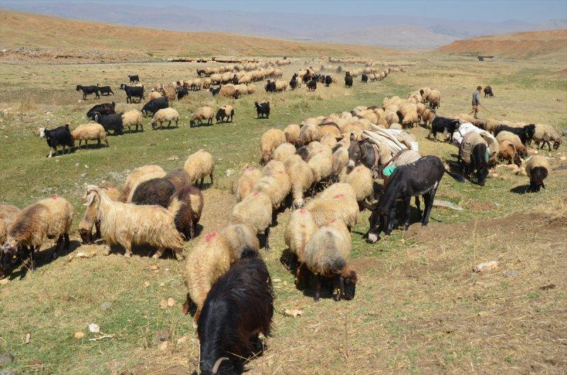 Muş'ta göçerlerin dönüş yolculuğu başladı