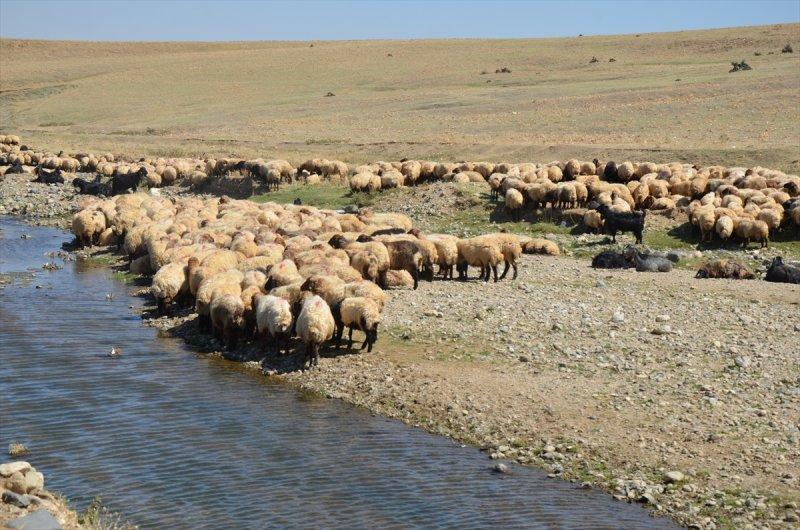 Muş'ta göçerlerin dönüş yolculuğu başladı