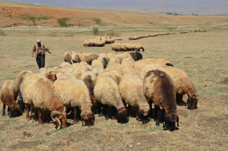 Muş'ta göçerlerin dönüş yolculuğu başladı