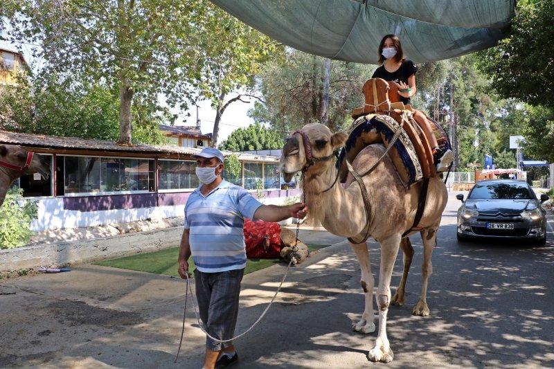 Antalya'da develer tatilcilerin ilgi odağı oluyor