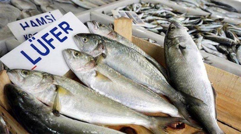 Ekim ayında hangi balık yenmeli? Ekim ayı balıkları ve faydaları nelerdir? 