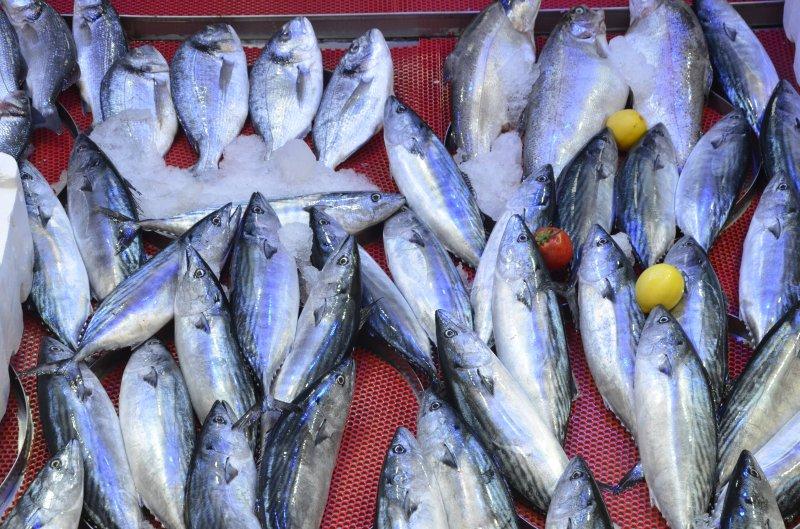 Ekim ayında hangi balık yenmeli? Ekim ayı balıkları ve faydaları nelerdir? 