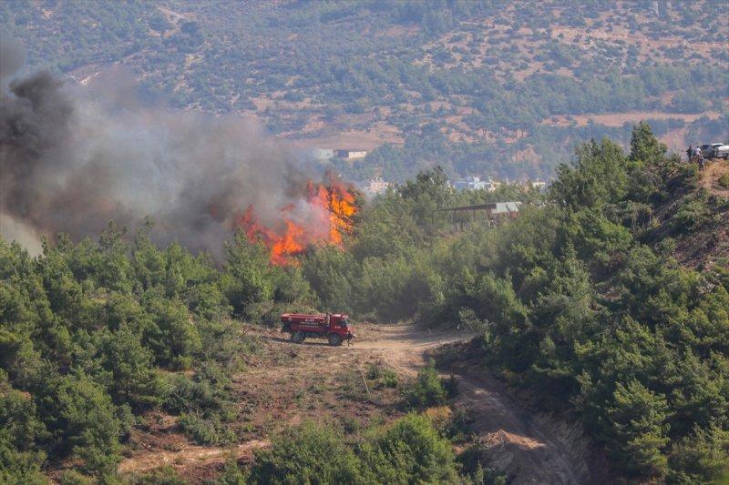 Hatay'daki yangının tahribatı ortaya çıkmaya başladı
