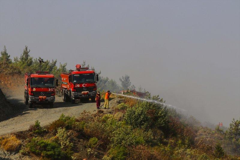 Hatay'daki yangının tahribatı ortaya çıkmaya başladı