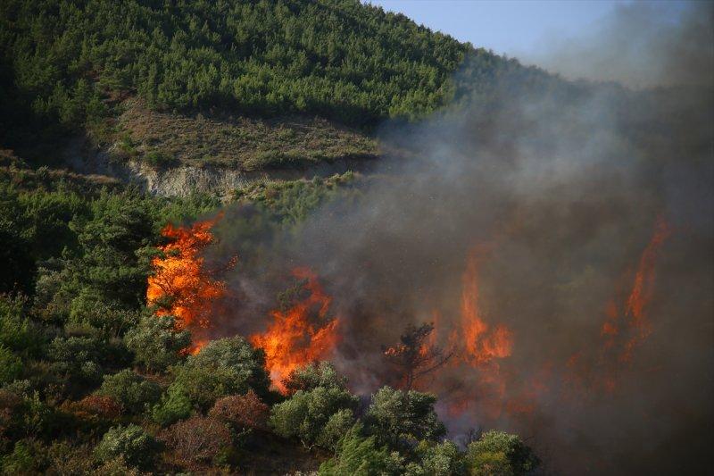 Hatay'daki yangının tahribatı ortaya çıkmaya başladı