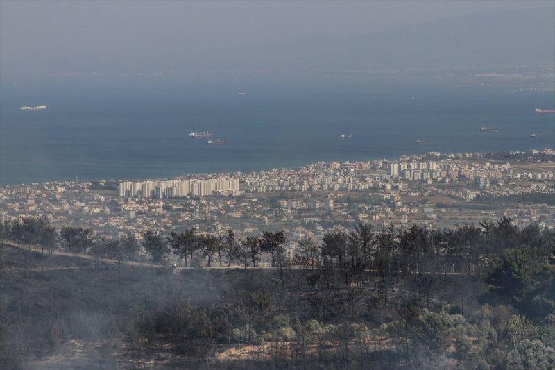 Hatay'daki yangının tahribatı ortaya çıkmaya başladı
