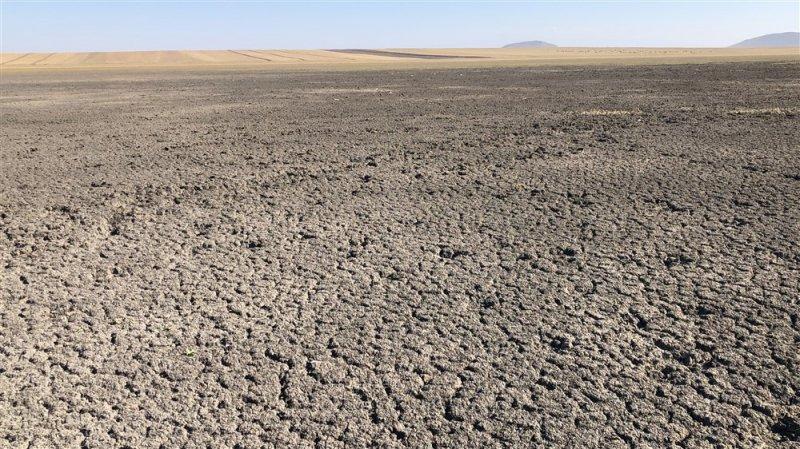 Kuyucuk Gölü Kuş Cenneti tamamen kurudu