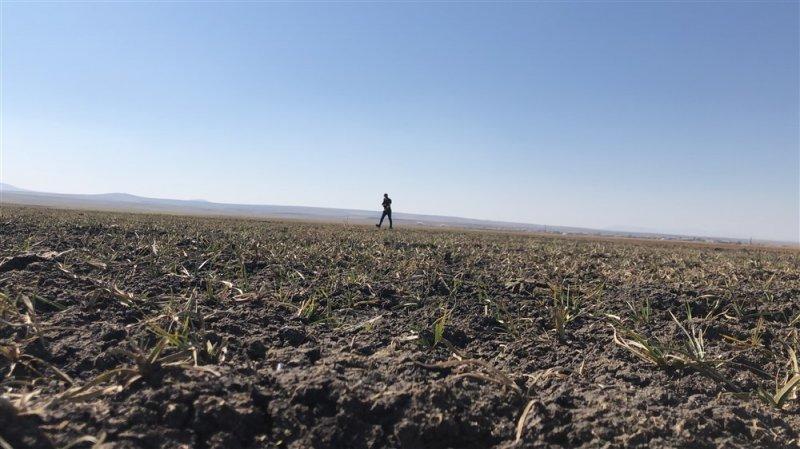 Kuyucuk Gölü Kuş Cenneti tamamen kurudu