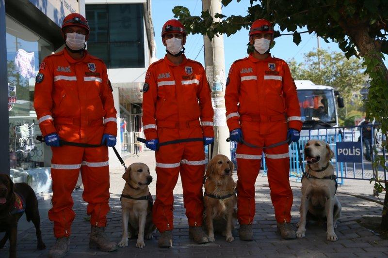 Dedektör köpekler, enkaz altındakileri hayata bağlıyor