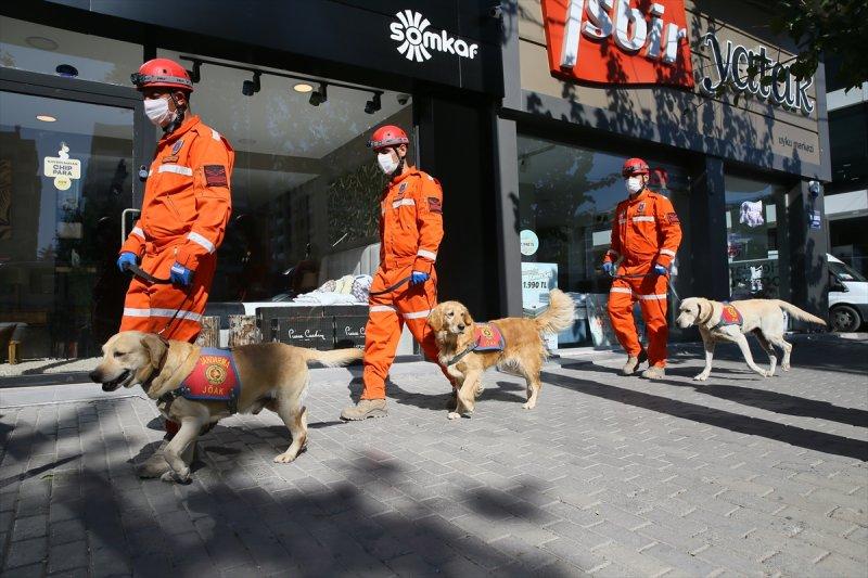 Dedektör köpekler, enkaz altındakileri hayata bağlıyor