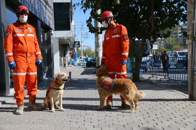 Dedektör köpekler, enkaz altındakileri hayata bağlıyor