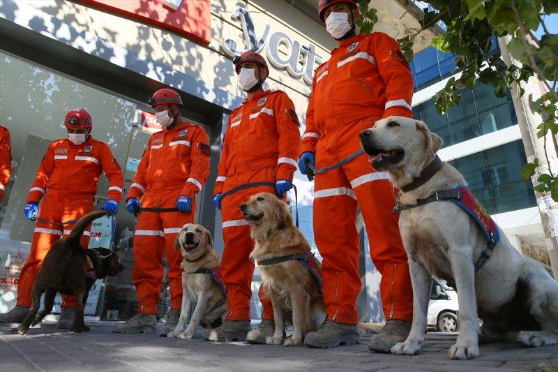 Dedektör köpekler, enkaz altındakileri hayata bağlıyor