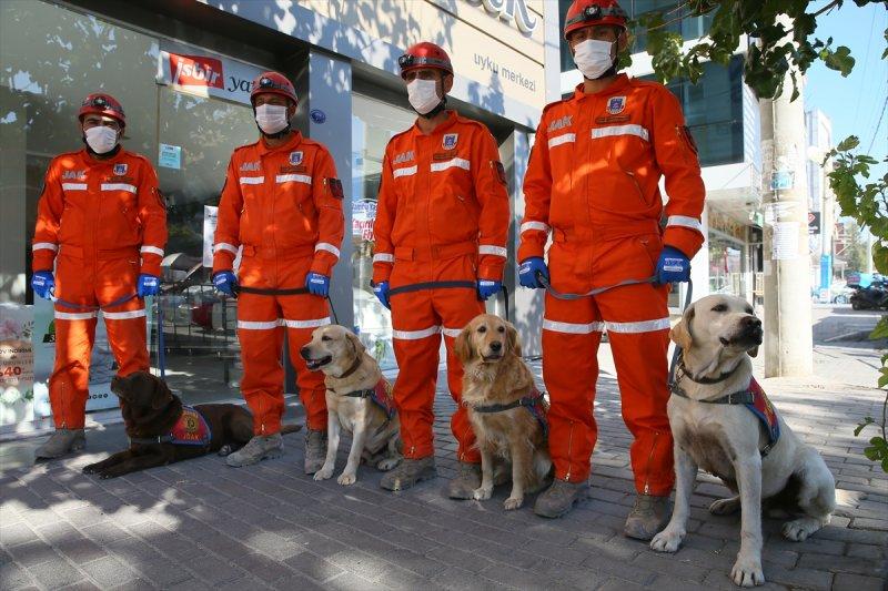 Dedektör köpekler, enkaz altındakileri hayata bağlıyor