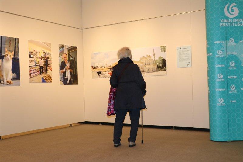 Tokyo’da 'Türk Kedisi' fotoğraf sergisi 