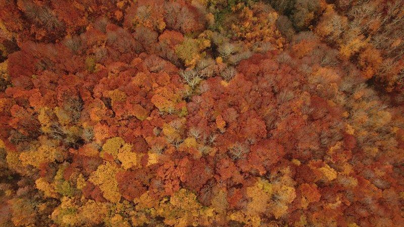 Istranca'da sonbaharın son demleri