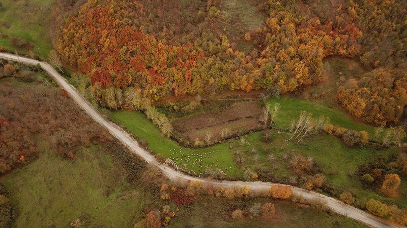 Istranca'da sonbaharın son demleri