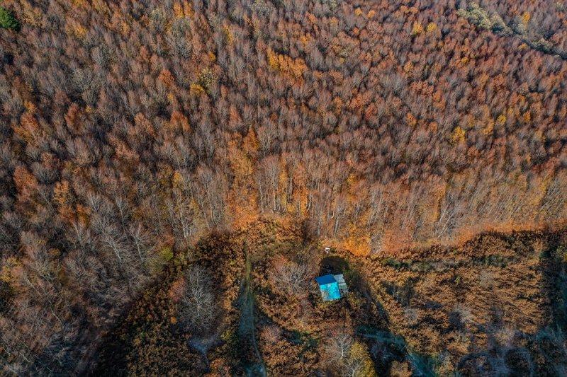 Uludağ'da 7 yıldır teknolojiden uzak yaşayan maratoncu