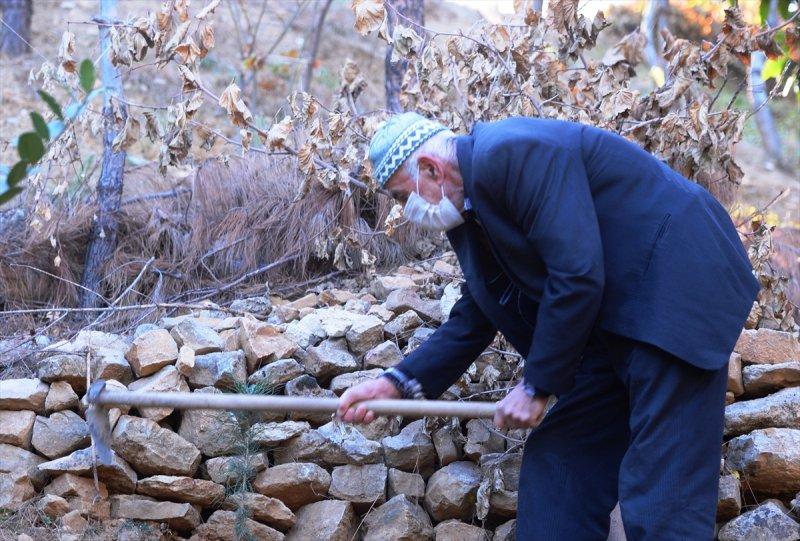 Mardinli Şeyhmus Amca, kendi çabasıyla orman oluşturdu