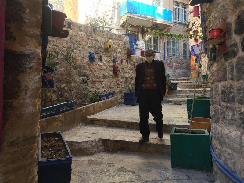 Mardinli Şeyhmus Amca, kendi çabasıyla orman oluşturdu