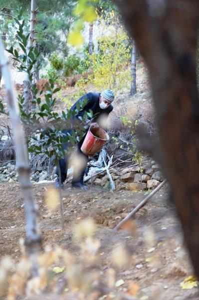 Mardinli Şeyhmus Amca, kendi çabasıyla orman oluşturdu