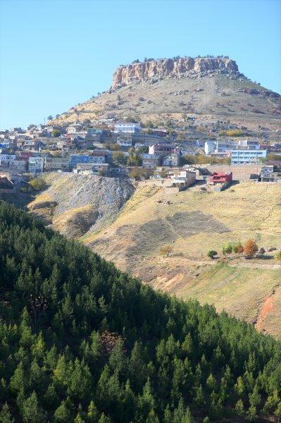 Mardinli Şeyhmus Amca, kendi çabasıyla orman oluşturdu