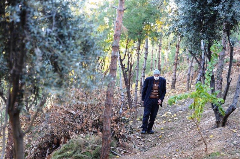 Mardinli Şeyhmus Amca, kendi çabasıyla orman oluşturdu