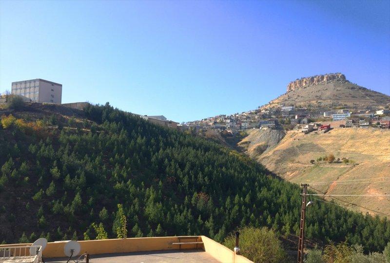 Mardinli Şeyhmus Amca, kendi çabasıyla orman oluşturdu