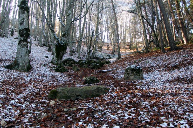 Bolu'da sonbahar yaprakları, karla buluştu