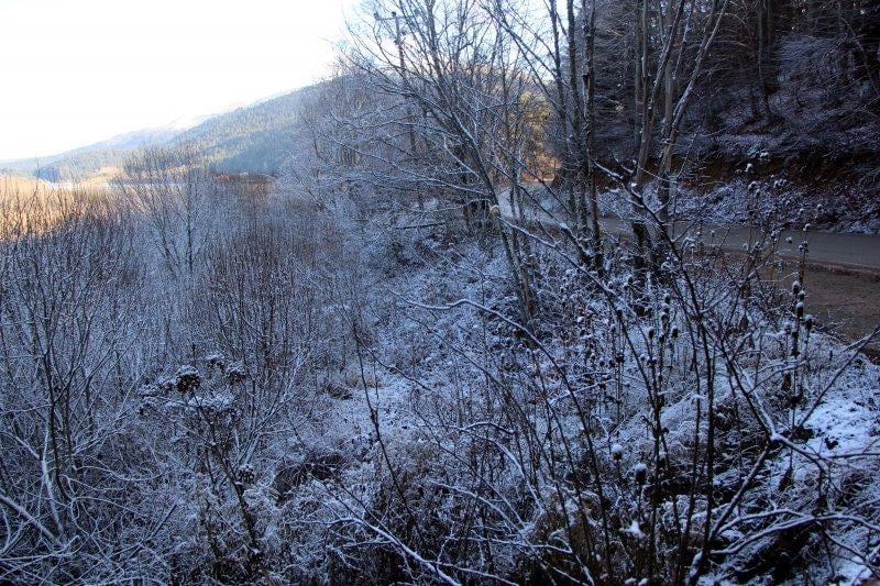 Bolu'da sonbahar yaprakları, karla buluştu