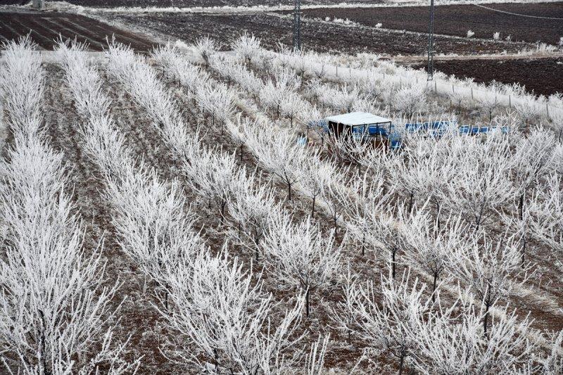 Sivas'ta kırağı ve sis, büyüleyici görüntüleri ortaya çıkardı