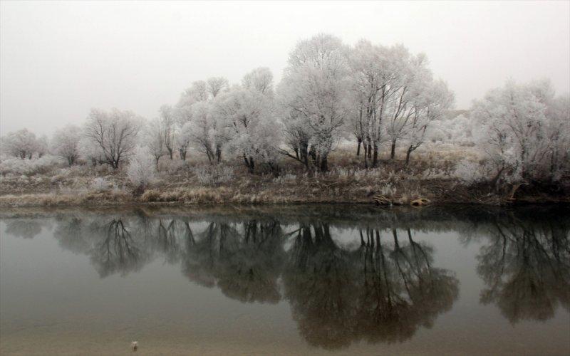 Sivas'ta kırağı ve sis, büyüleyici görüntüleri ortaya çıkardı
